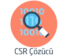 Что такое CSR декодер?
