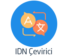 Что такое конвертер IDN?