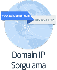 Was ist eine Domain-IP-Anfrage?