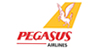 Pegasus Airlines alan adı tescili