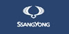 SsangYong marka domain tescili