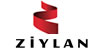 Ziylan Group kurumsal alan adı tescili