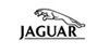 Jaguar global marka domain tescili