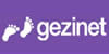 Gezinet alan adı tescili ve yönetimi