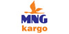 MNG Kargo kurumsal alan adı kaydı