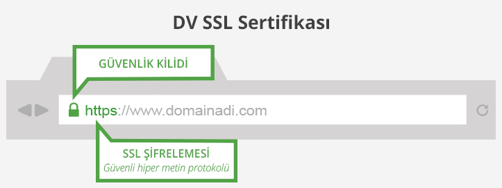 DV SSL Nedir?