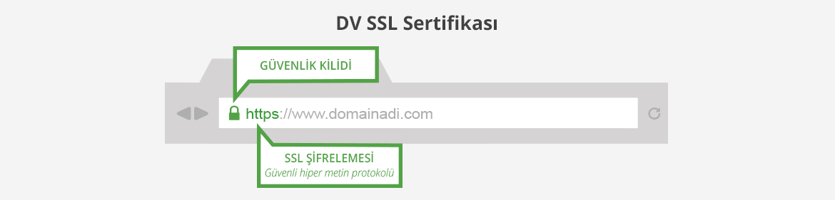 DV SSL Nedir?