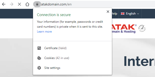 How does a DV Certificate look like in a web browser?