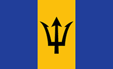 .bb domain .bb domain
