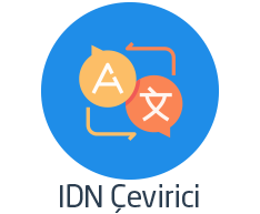 Что такое конвертер IDN?
