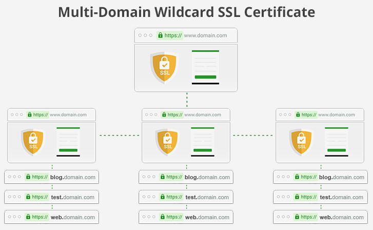 Multi Domain SSL Certificate
