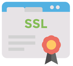 Führendes Unternehmen im Besitz eines SSL-Zertifikats