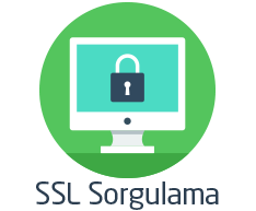SSL Sorgulama Nedir?