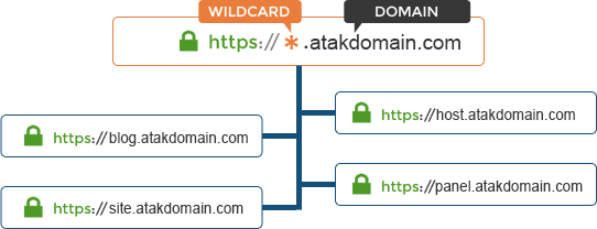 Wildcard SSL Nasıl Çalışıyor?