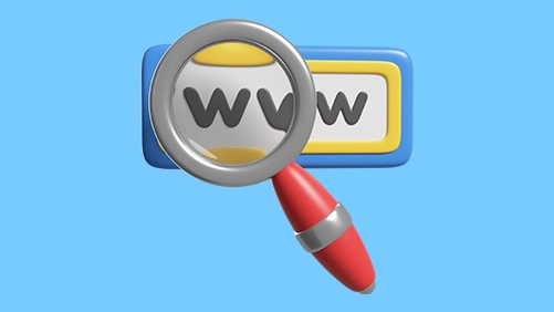 Domain Name Search