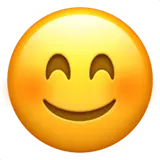 %98 Satisfaction