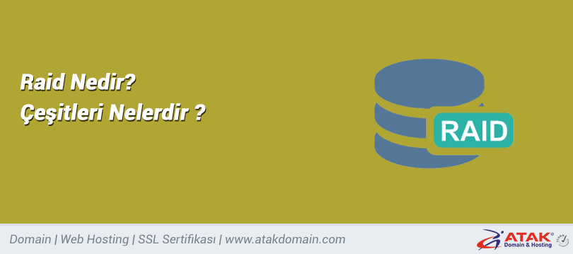 Raid Nedir? Çeşitleri Nelerdir ?