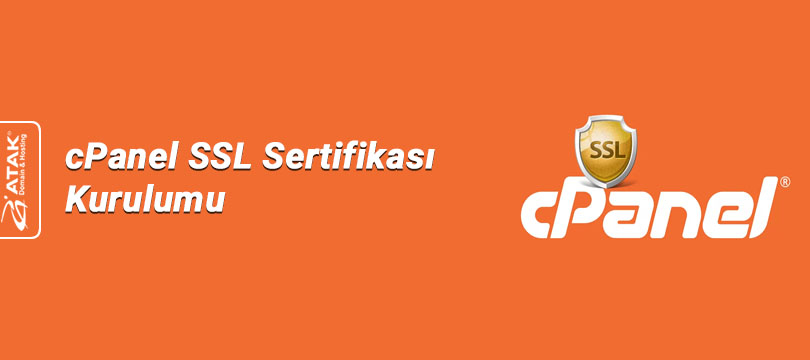 cPanel SSL Sertifikası Kurulumu