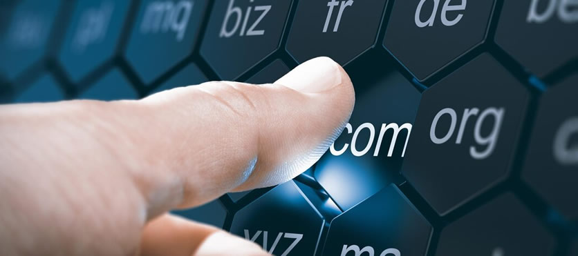 &Uuml;st D&uuml;zey Domain Nedir? (Top Level Domain &ndash; TLD) - Atak Domain