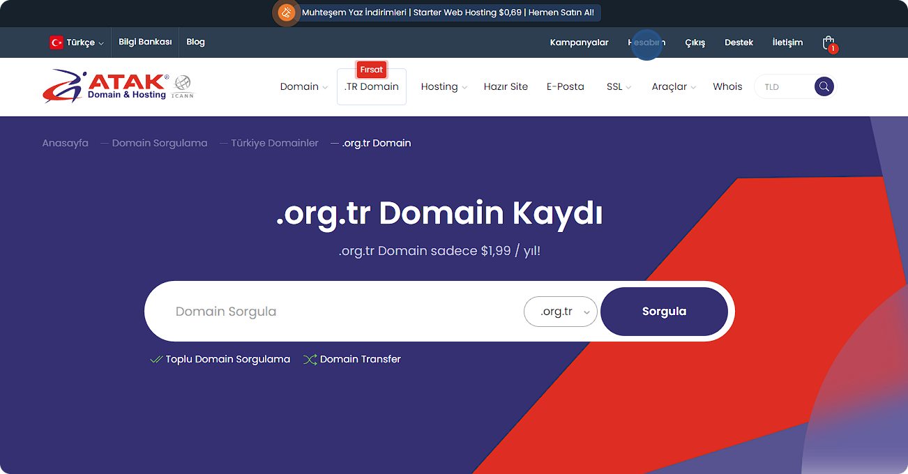 Domain Y&ouml;nlendirme Nasıl Yapılır? | Atak Domain