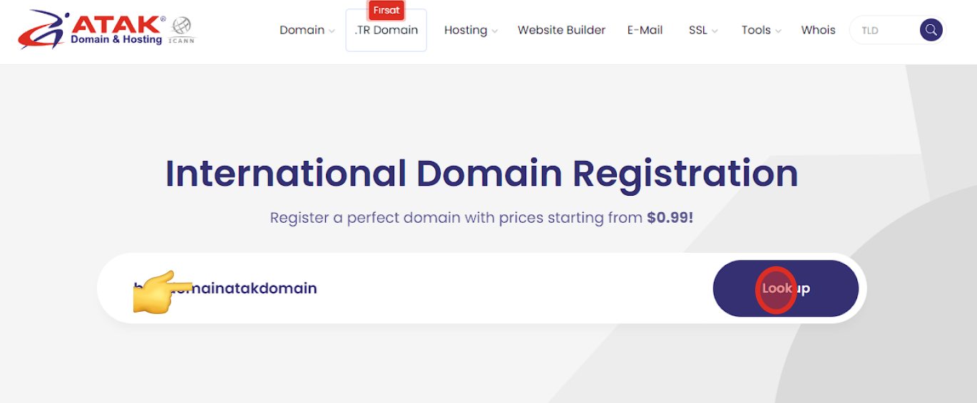 How to Register Domain Names: A Helpful Guide | Atak Domain