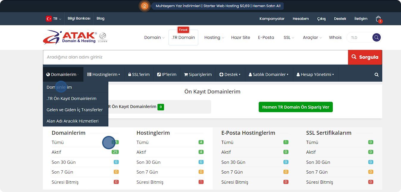 Domain Y&ouml;nlendirme Nasıl Yapılır? | Atak Domain