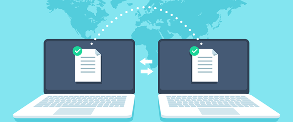 What Is the Domain Name System (DNS)?