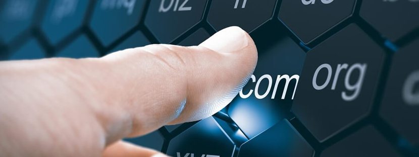 net uzantısı nedir - Atak Domain