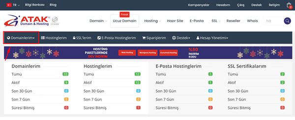 Domain Kilidini Kaldırma veya Etkinleştirme