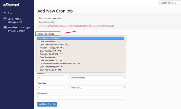 How to Add Cron Jobs in cPanel?