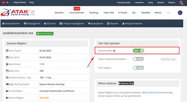 Domain Kilidini Kaldırma veya Etkinleştirme