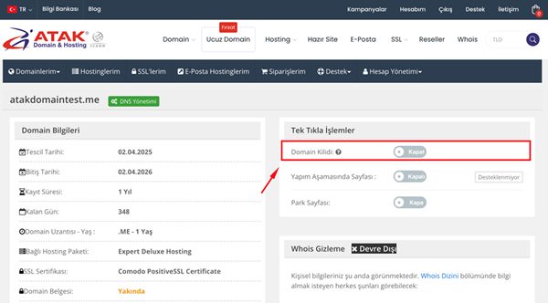 Domain Kilidini Kaldırma veya Etkinleştirme