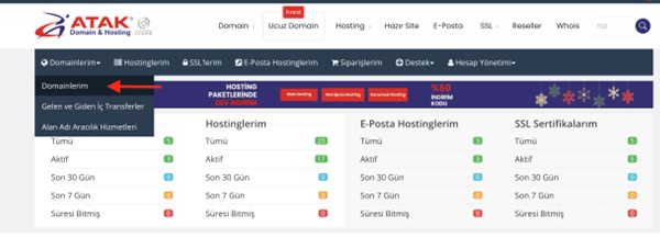Domain DNS Yönetimi Nasıl Yapılır?