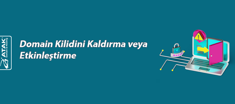 Domain Kilidini Kaldırma veya Etkinleştirme
