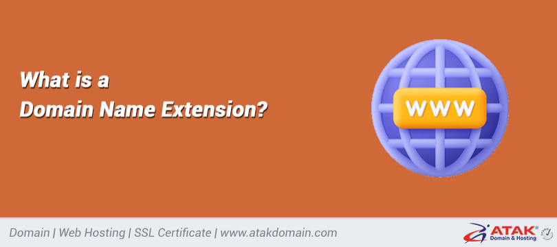 What is a Domain Name Extension?