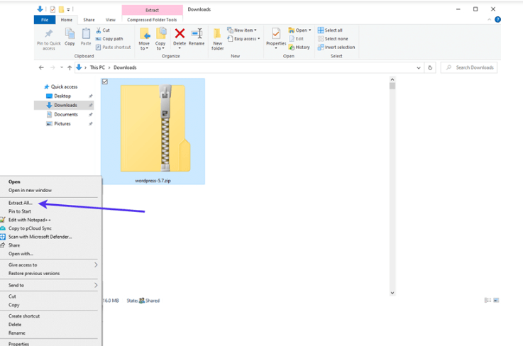Find current version of WordPress and update