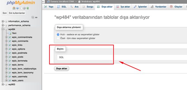Veritabanımın Backup ını nasıl alabilirim ?