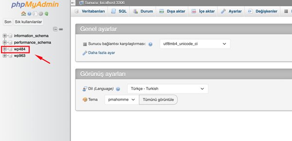 Veritabanımın Backup ını nasıl alabilirim ?