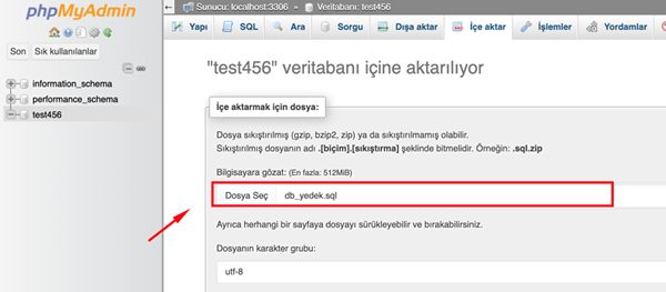 Step-by-Step Guide to Restoring MySQL Database with phpMyAdmin via cPanel