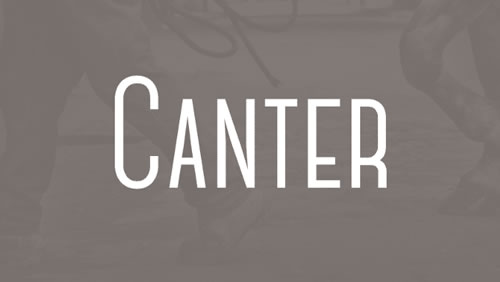 Most Modern Fontsf for WordPress