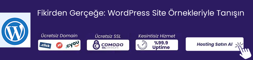 Wordpress Hosting - Atak Domain