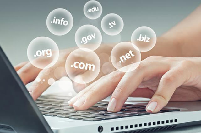 How to find the owner of the domain name