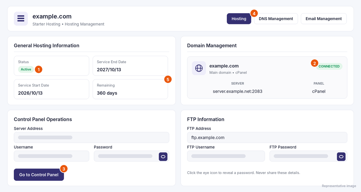 Representative image: 1 status, 2 connected domain, 3 Go to Control Panel, 4 DNS Management, 5 expiry date.