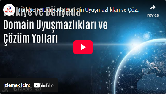 T&uuml;rkiye ve D&uuml;nyada Domain Uyuşmazlıkları ve &Ccedil;&ouml;z&uuml;m Yolları