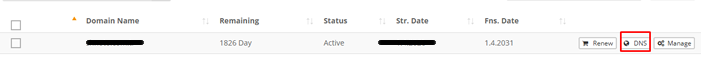 How to Manage Domain DNS?