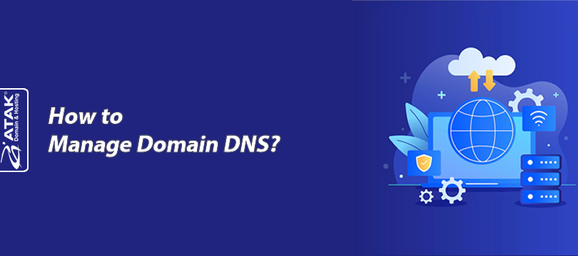 How to Manage Domain DNS?