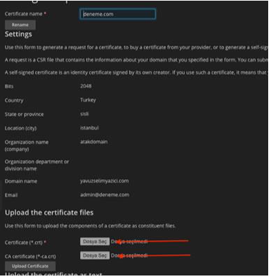 How to Install an SSL Certificate on Plesk Panel