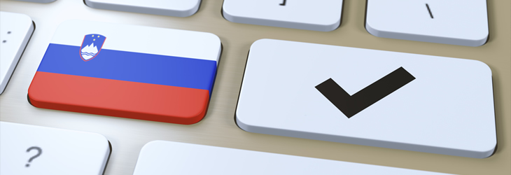 .RU Domain Registration Guide: ESIA Requirement, Trustee Service and Transfer Process