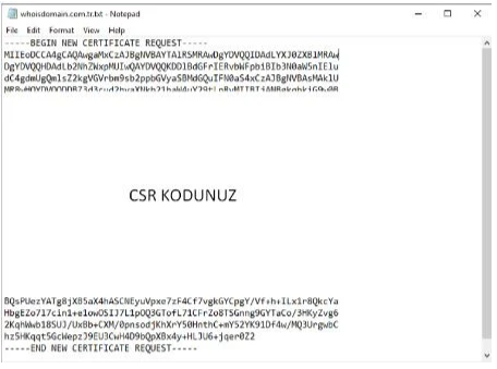 How to Generate a CSR Code with IIS?