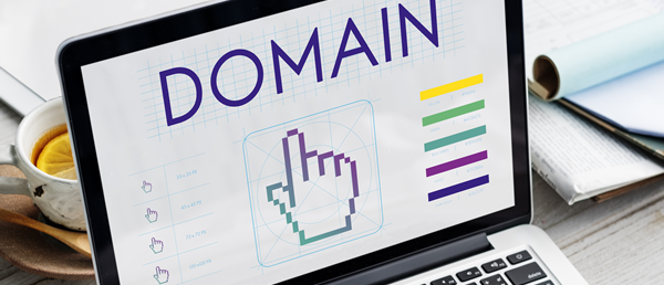 The Six Costs That Can Make Up a Domain Budget